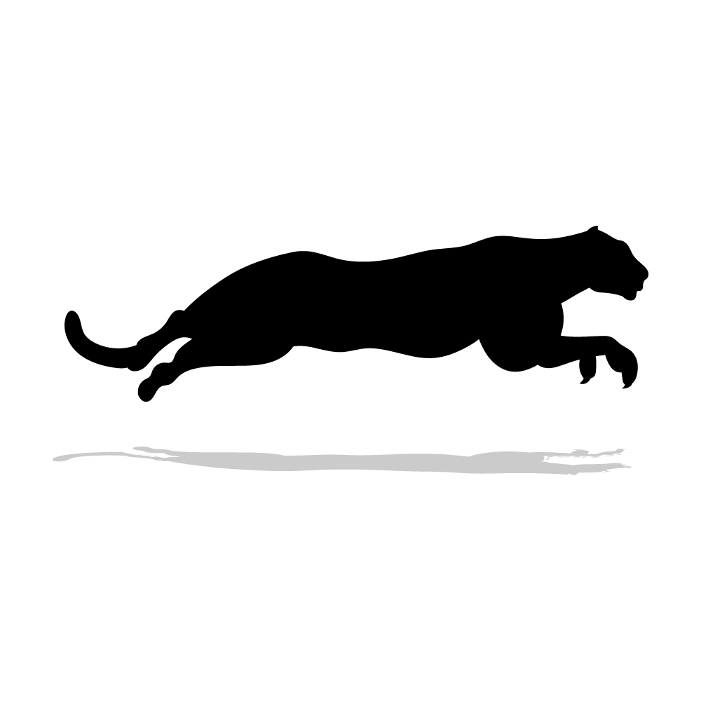 Jaguar icono