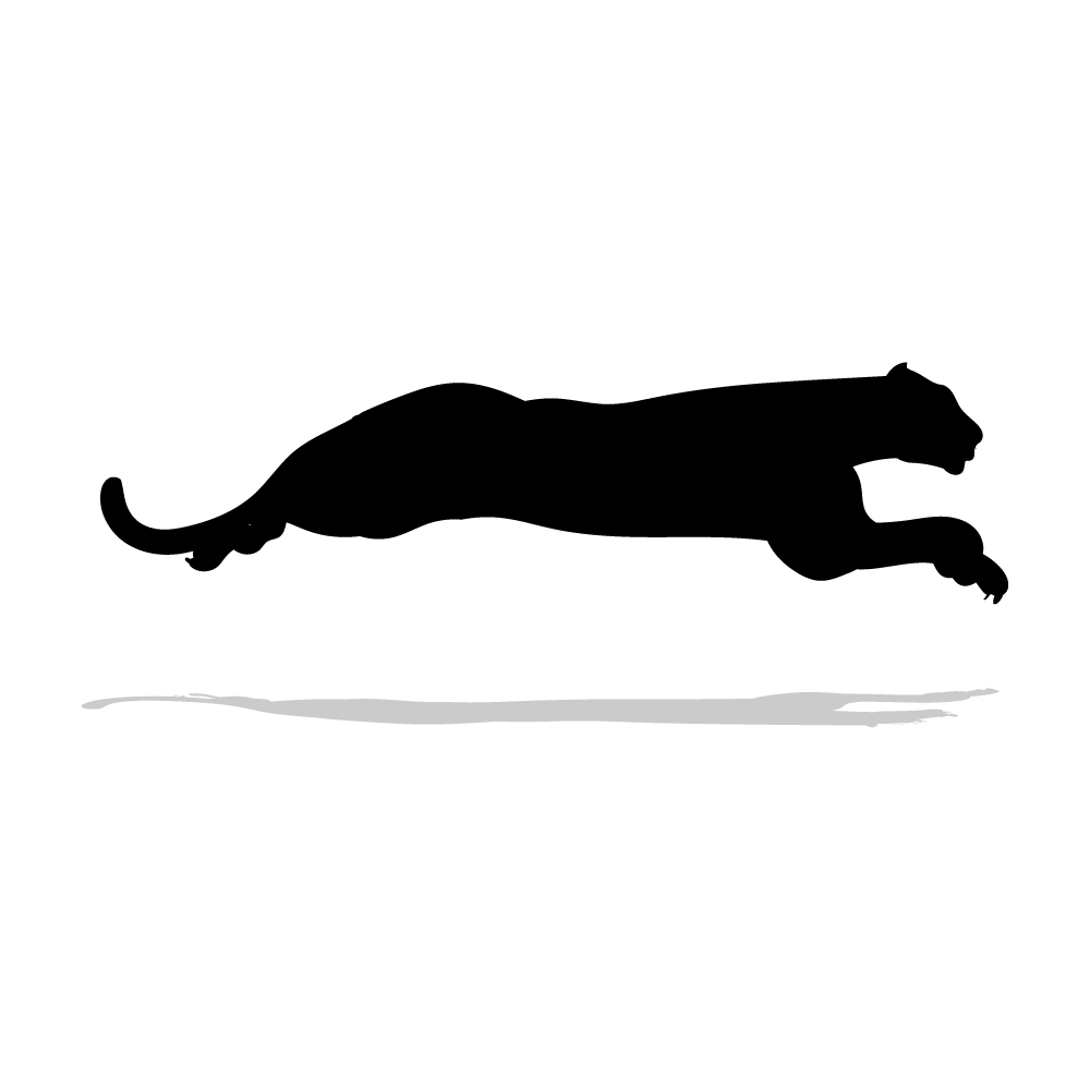 Jaguar icono