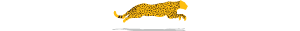 banner jaguar